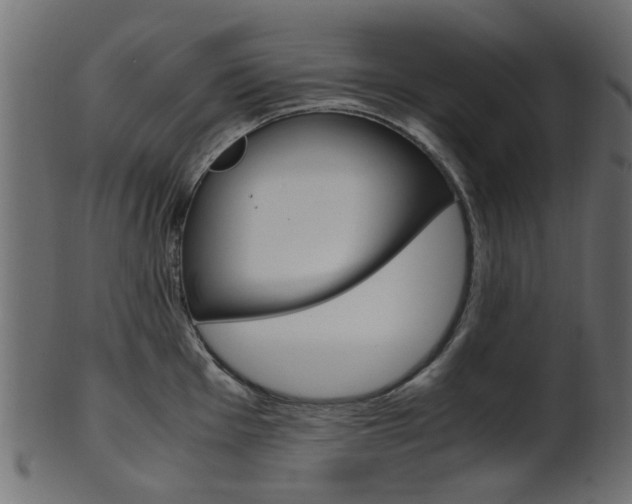 X0000102031001200807181002