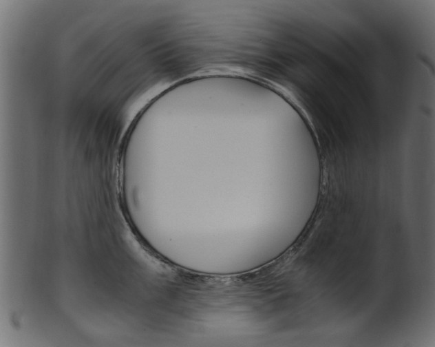 X0000102031003200807181002