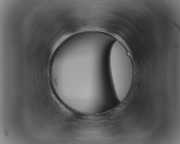 X0000102031005200807181002