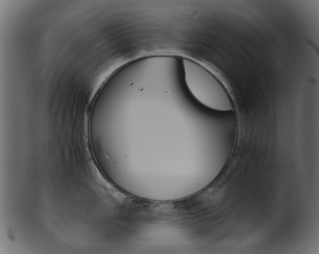 X0000102031006200807181002