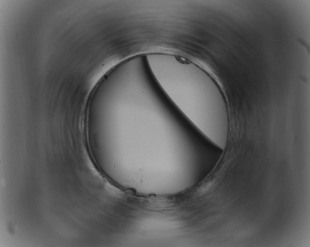 X0000102031007200807181002