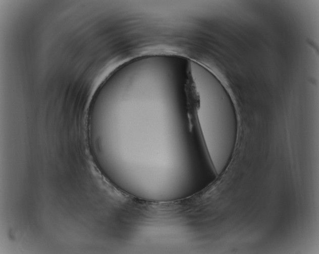 X0000102031008200807181002