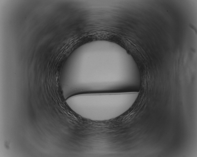X0000102031010200807181001