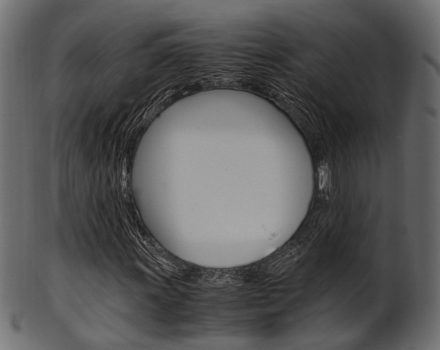 X0000102031011200807181001