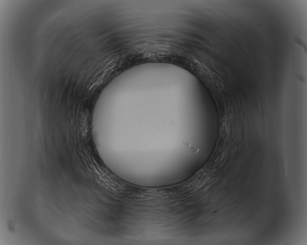 X0000102031012200807181001