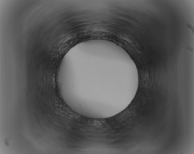 X0000102031013200807181001