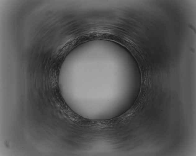 X0000102031014200807181001