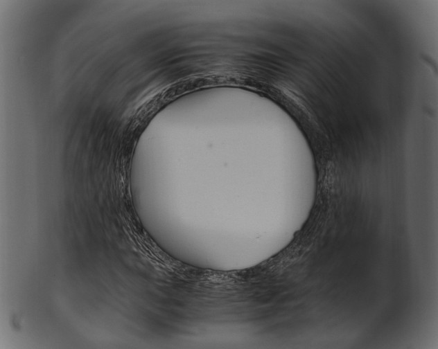 X0000102031015200807181001
