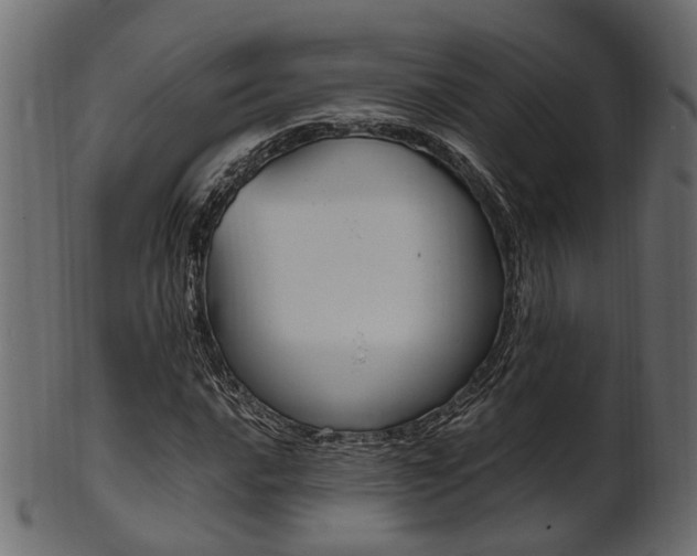 X0000102031016200807181001