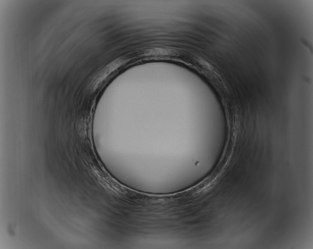X0000102031017200807181001