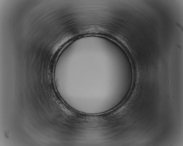 X0000102031018200807181001