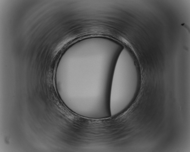 X0000102031019200807181001