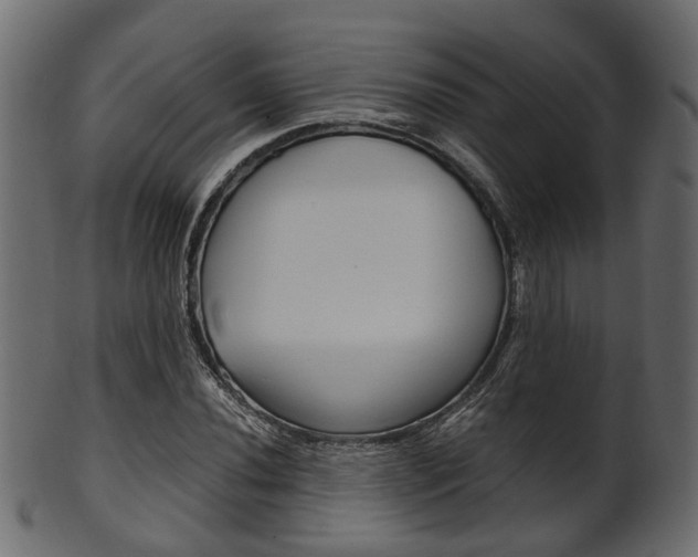 X0000102031020200807181001