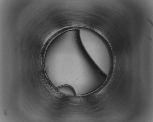 X0000102031021200807181001