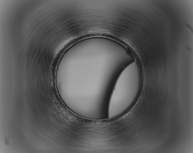 X0000102031022200807181001
