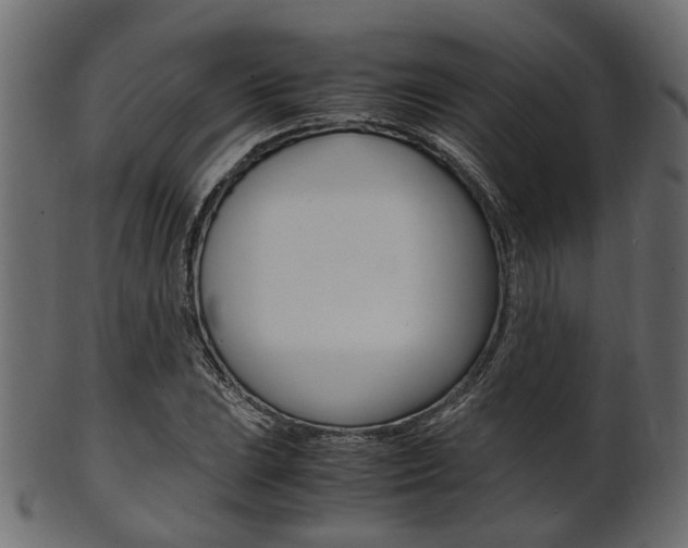 X0000102031023200807181001