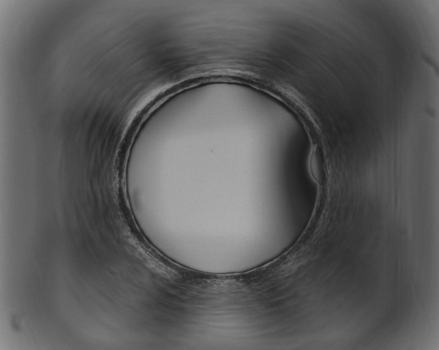 X0000102031024200807181001