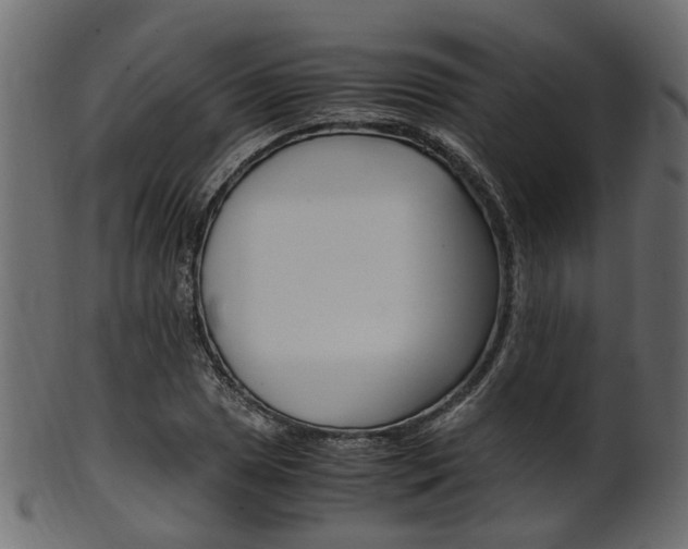 X0000102031025200807181001