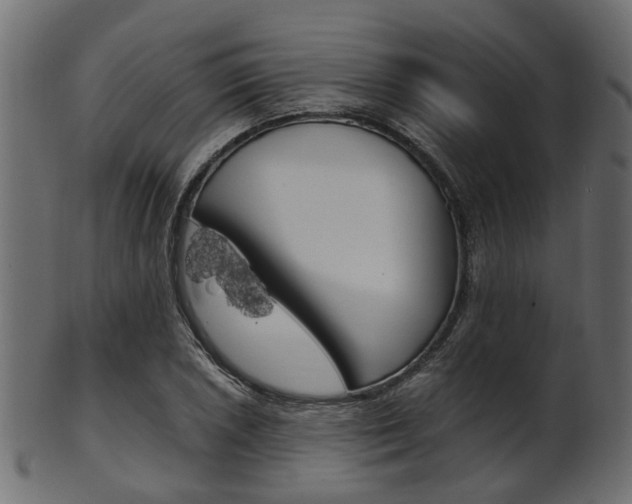 X0000102031026200807181001