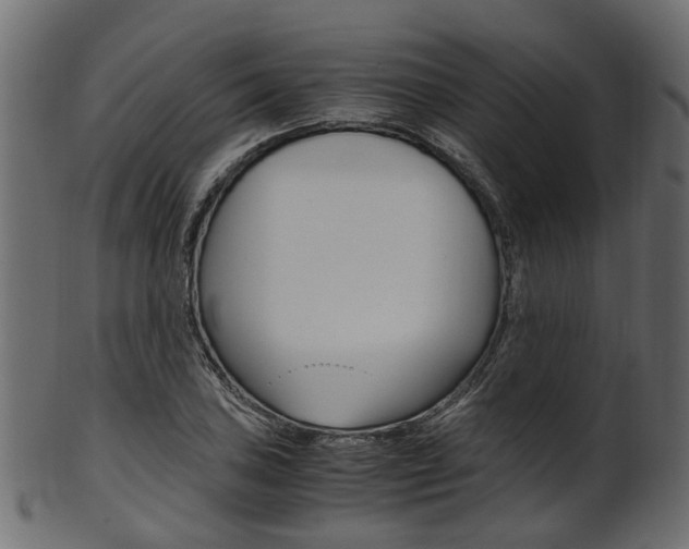 X0000102031027200807181001