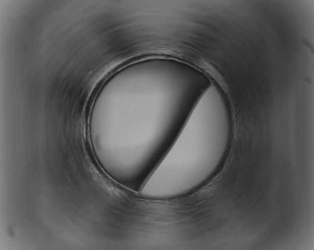 X0000102031028200807181001