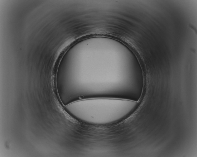 X0000102031029200807181001
