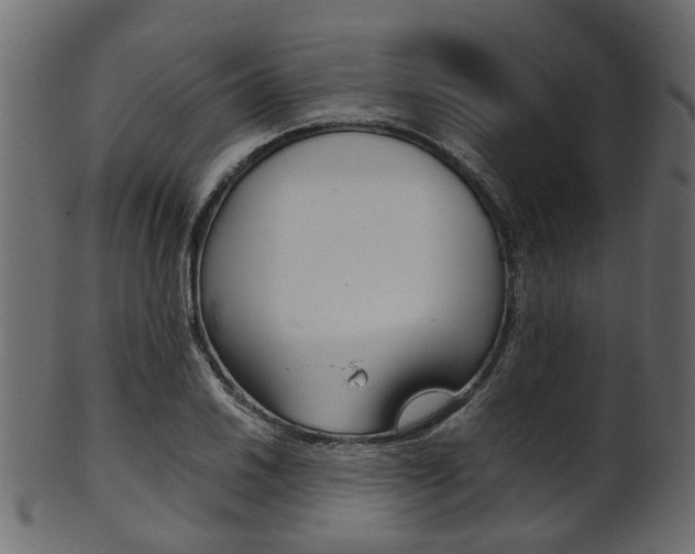 X0000102031030200807181001