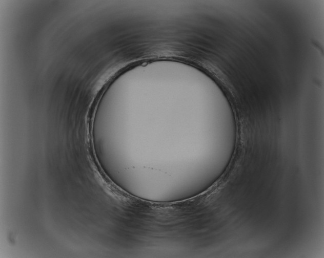 X0000102031031200807181001