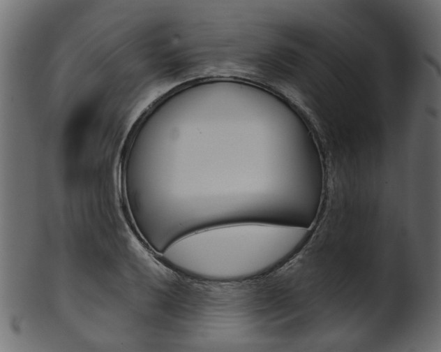 X0000102031032200807181001