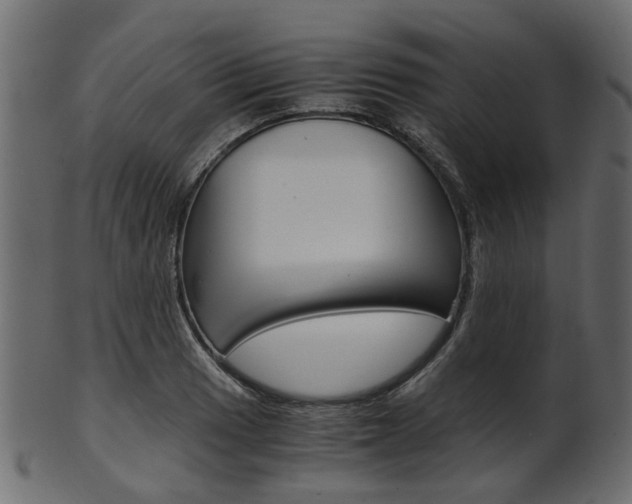 X0000102031033200807181001
