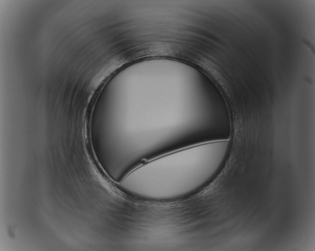 X0000102031034200807181001