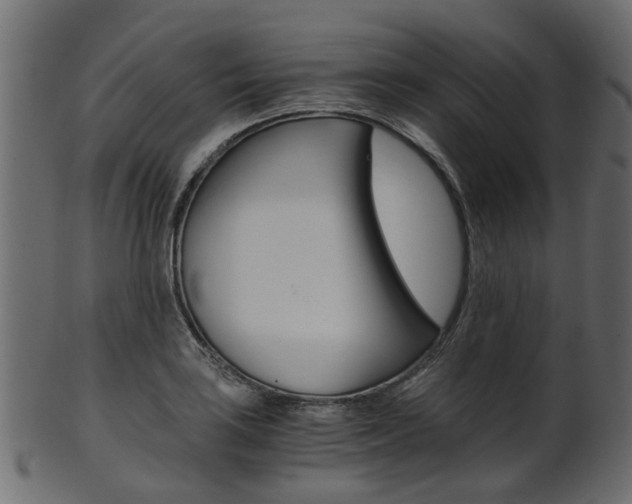 X0000102031035200807181001