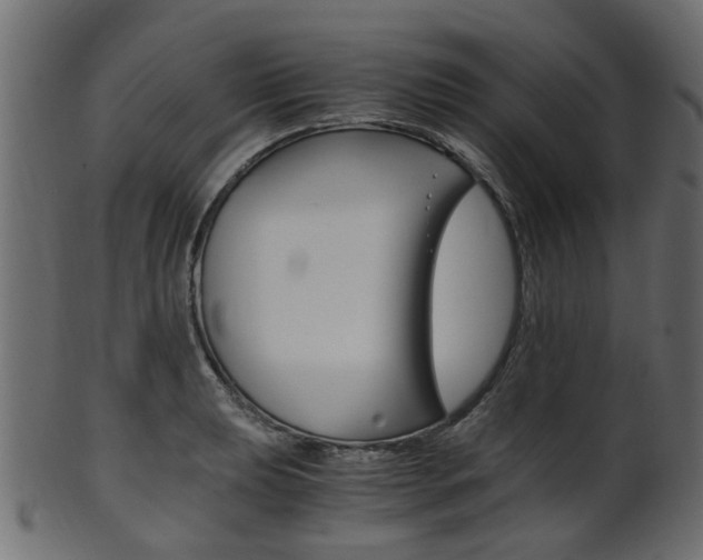 X0000102031039200807181002