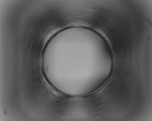 X0000102031040200807181002