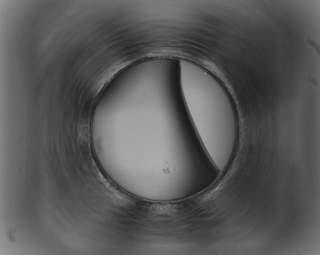 X0000102031041200807181002