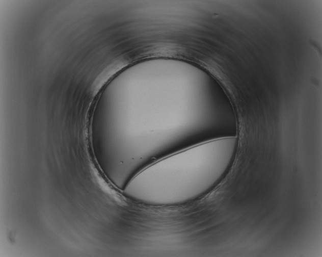 X0000102031042200807181002