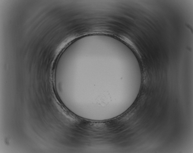 X0000102031043200807181002