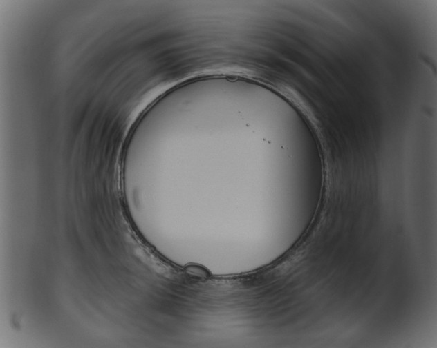 X0000102031044200807181002