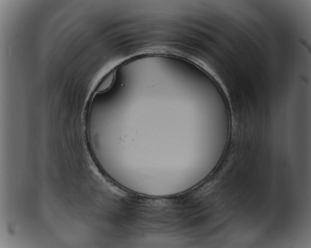X0000102031045200807181002