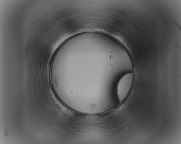 X0000102031046200807181002