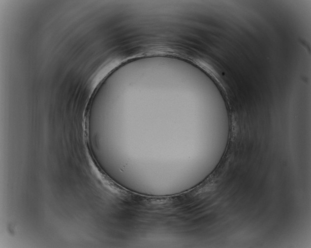 X0000102031047200807181002