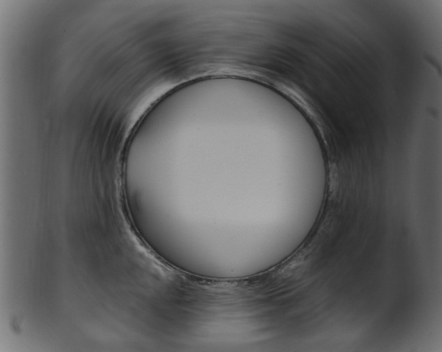X0000102031048200807181002