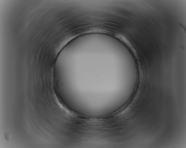 X0000102031049200807181002