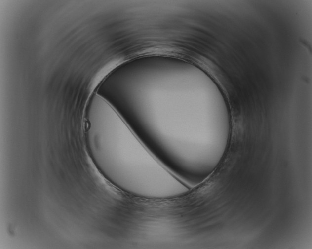 X0000102031050200807181002