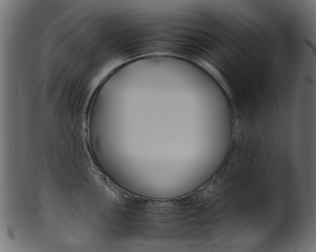 X0000102031051200807181002