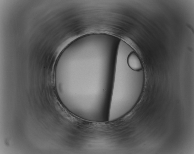 X0000102031052200807181002