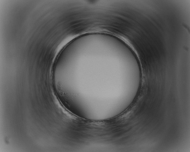 X0000102031053200807181002