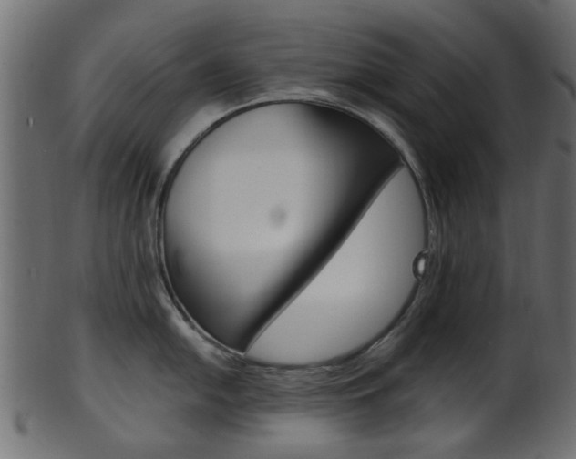 X0000102031054200807181002