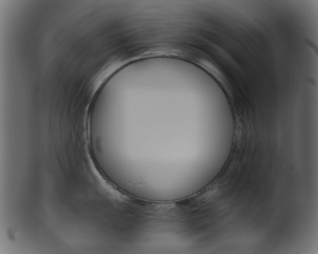 X0000102031055200807181002
