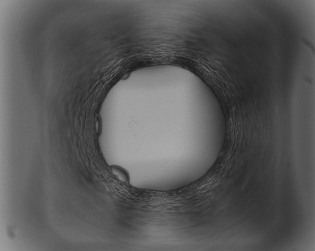 X0000102031057200807181001